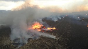 İzmir Yamanlar yangınında 5 dönüm alan zarar gördü