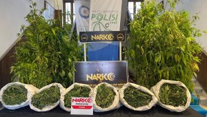 İzmir'de 9,5 kilo esrar ele geçirildi