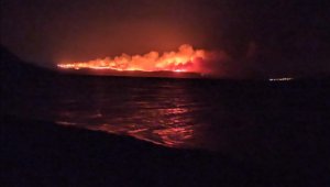 İzmir'de büyük orman yangını