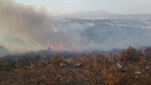 İzmir'de makilik alanda çıkan yangın kontrol altına alındı