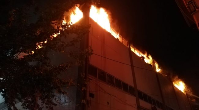 İzmir'de orman ürünleri deposunda yangın 