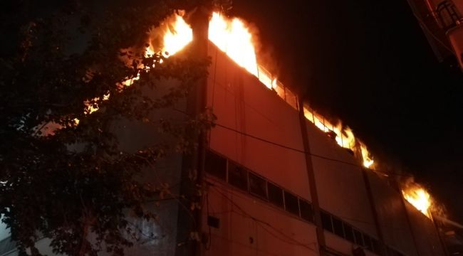 İzmir'de orman ürünleri deposunda yangın 