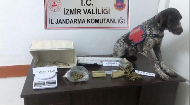İzmir'in 14 ilçesinde uyuşturucu baskını