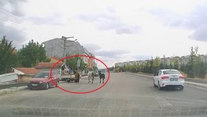 Kamyonetin arkasına bağladıkları atları acımasızca koşturdular