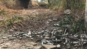 Kanalın suyu kesilince çirkin görüntüler ortaya çıktı