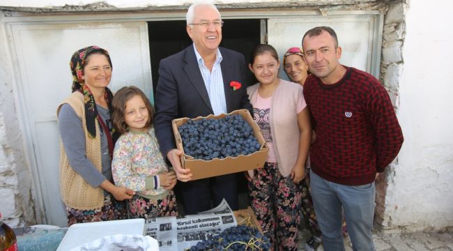 Kavacık Üzüm Festivali gün sayıyor