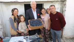 Kavacık Üzüm Festivali gün sayıyor