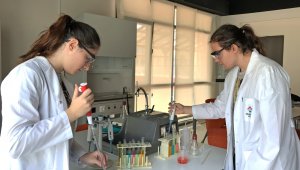 Liseli gençlere güvenli gıda projesinde akademik destek