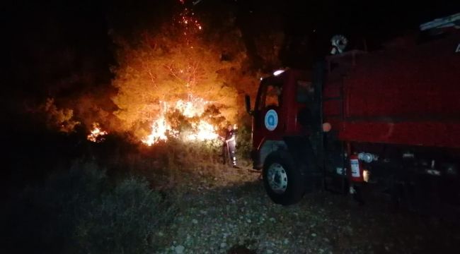 Manavgat'ta yine orman yangını