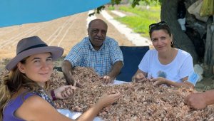 Muğla'nın kadınları Safran ile tanıştı