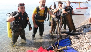 Pes dedirten görüntüler