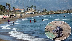 Petrol atıklarına rağmen denizde yüzdüler