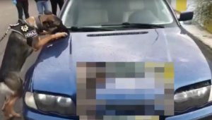 Piyasa değeri 1 milyon lirayı geçen uyuşturucu ele geçirildi