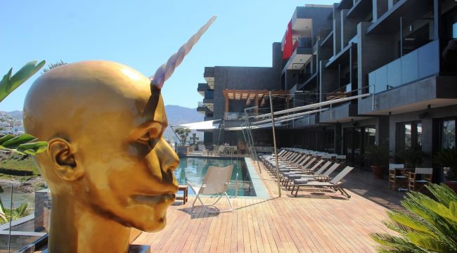 Otelini sanat eserleriyle süsledi