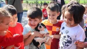 Sokak hayvanları için 'aileye katılma' hareketi