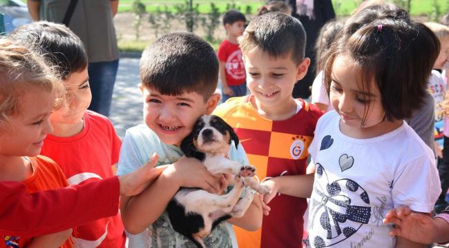 Sokak hayvanları için 'aileye katılma' hareketi