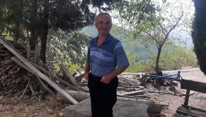 Tilki ile çobanın şaşırtan dostluğu