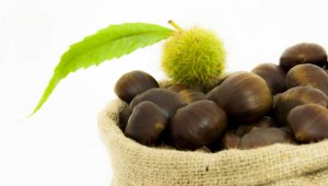 Türkiye kestane ihracatında 50 milyon dolar hedefliyor