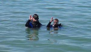 Van Gölü suyu koronanın çoğalmasını engelliyor