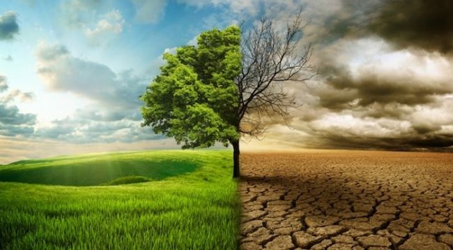 Yeşil Mutabakat fırsata çevrilmeli