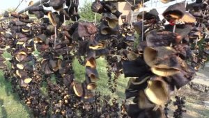 20 bin liralık kurutulmuş patlıcan çalındı