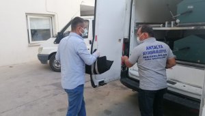 49 günlük Umut bebek ölü bulundu