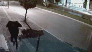 Acemi hırsız marketçiyi bile güldürdü