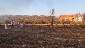 Alevler antik kente ulaşmadan söndürüldü