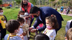 Aliağalı minik öğrencilerin Pati Park keyfi