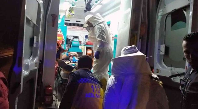 Arı kovanı taşıyan kamyonet devrildi: 2 yaralı