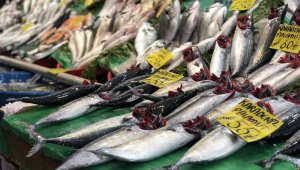 Av yasağı kalkınca balık tezgahlarında çeşit çoğaldı