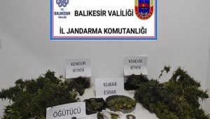 Balıkesir Jandarması 53 kişiyi gözaltına aldı