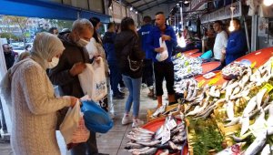 Bandırma balık halinde hamsi ve lüfer bolluğu