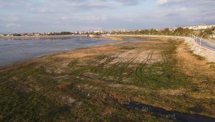 Beyşehir gölü, ilçeden uzaklaşıyor