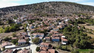 Böbrek taşı dökmenin ilginç yolu yöntemi