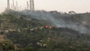 Bodrum'da makilik alanda yangın