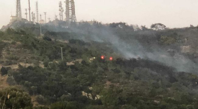 Bodrum'da makilik alanda yangın