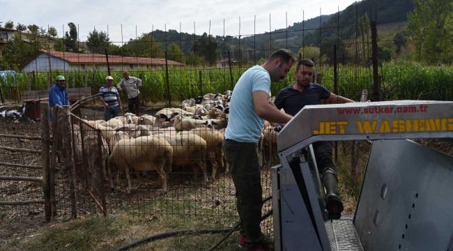 Büyükşehir'den hayvan üreticilerine ilaçlama desteği