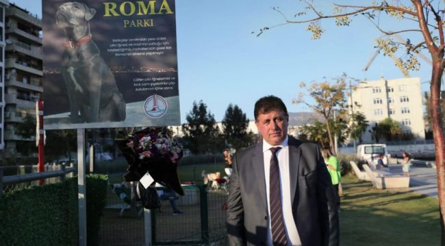 Can dostumuz Roma'nın adı Alaybey'de yaşayacak!