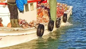 Çanakkale Boğazı'nda 15 bin lüfer yakaladılar