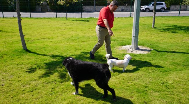 Çeşme'ye özel 5 'Pati Park' daha geliyor!