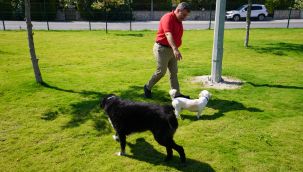 Çeşme'ye özel 5 'Pati Park' daha geliyor!