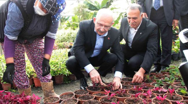 CHP Genel Başkanı Kılıçdaroğlu kadınlarla çiçek dikti