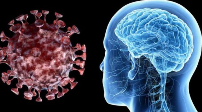 Covid geçirenler ileride MS ya da alzheimer olabilir 