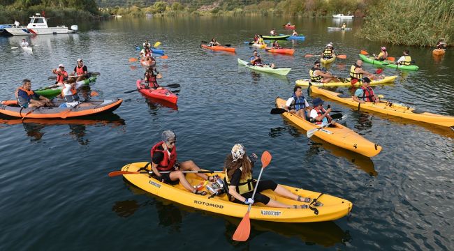 Deniz kaplumbağalarının "annesi" için şükran geçişi