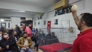 Deve kuşu yumurtası mezata çıktı almak için yarıştılar