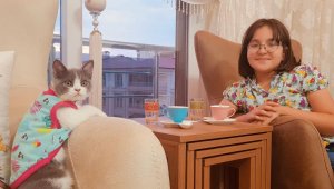 Doğumu geciken kediye sezaryen yapıldı