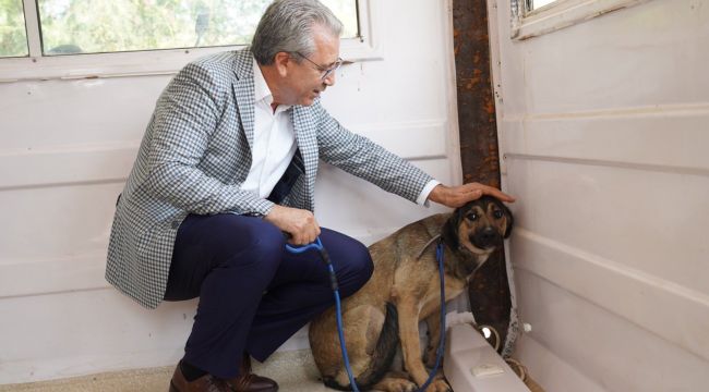 Egeli hayvanseverler can dostlarını unutmadı