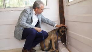 Egeli hayvanseverler can dostlarını unutmadı