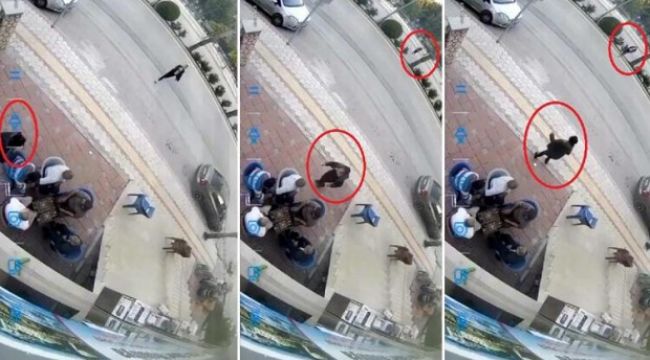 Erkekliğiniz batsın!